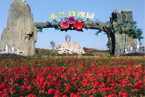木兰玫瑰园一日游